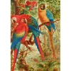 Liberty Puzzles A Company of Macaws* Puzzles