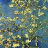 Liberty Puzzles Almond Blossom* Puzzles