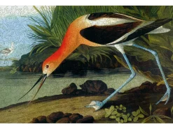 Liberty Puzzles American Avocet* Puzzles