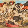 Liberty Puzzles Best in Show* Puzzles