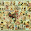 Liberty Puzzles Birds of the Tropics* Puzzles