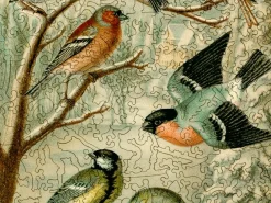 Liberty Puzzles Central European Songbirds* Puzzles