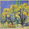 Liberty Puzzles Cholla and Sahuaro* Puzzles