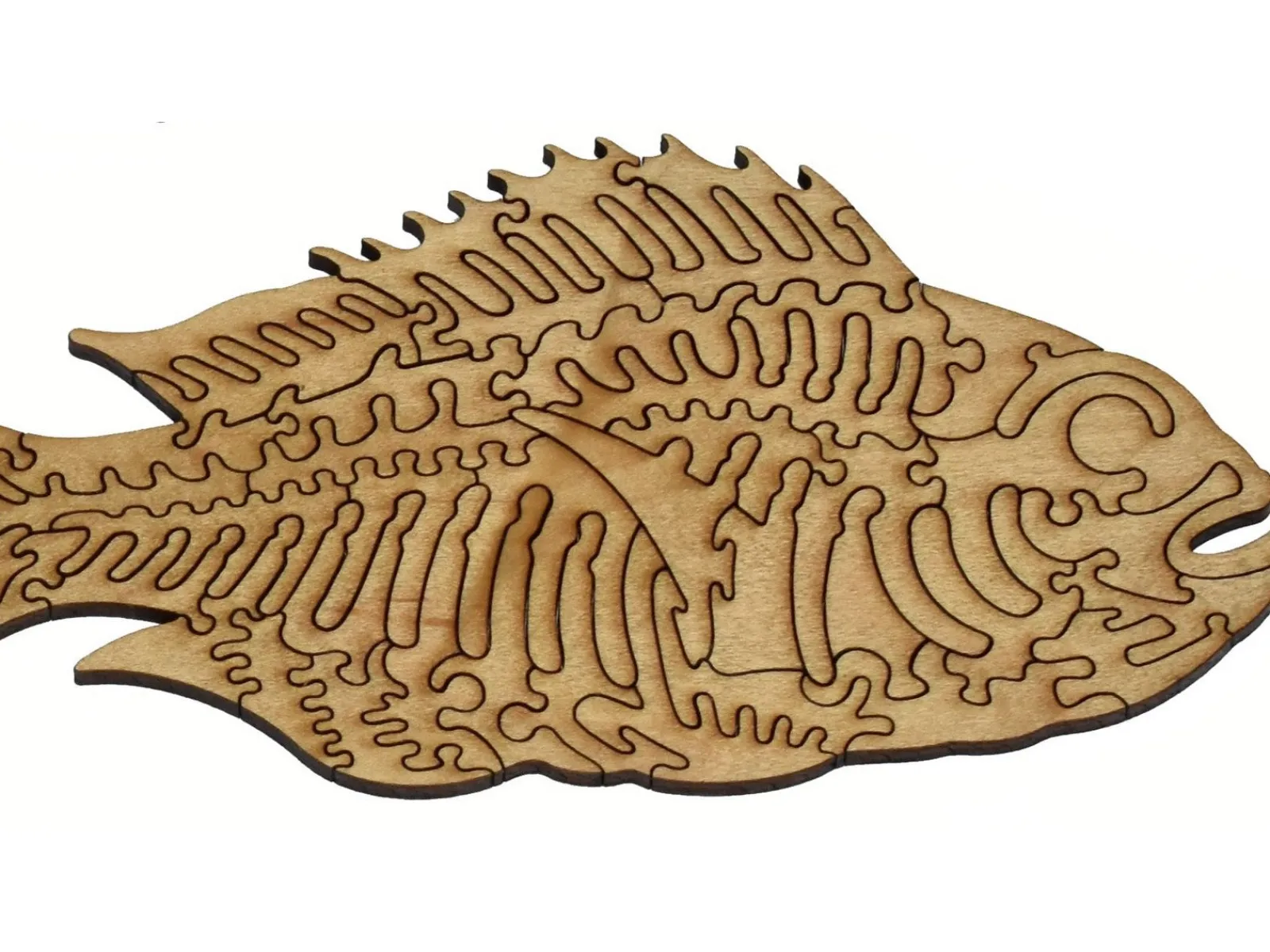 Liberty Puzzles Colorful Fish of the East Indies* Puzzles