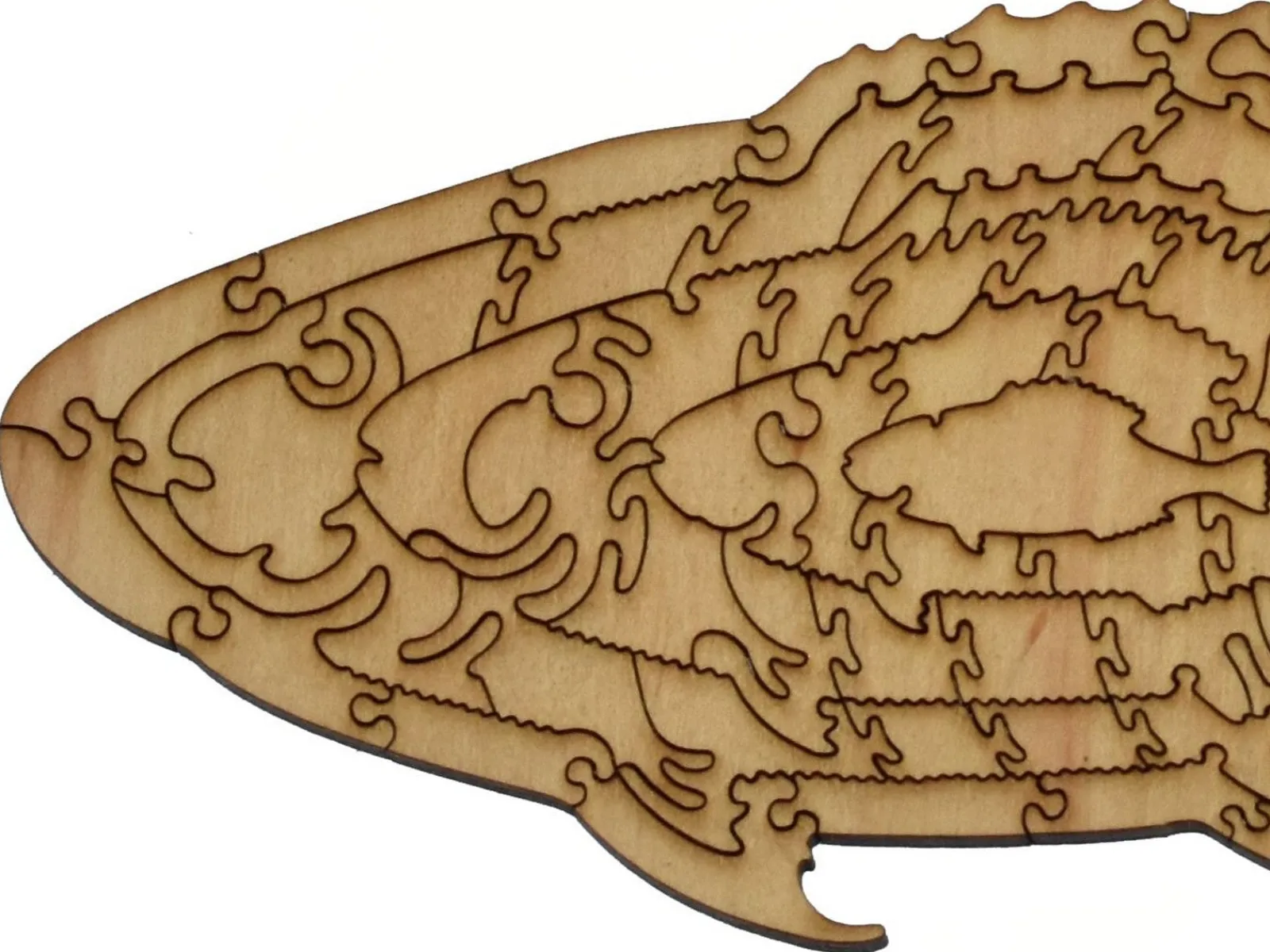 Liberty Puzzles Colorful Fish of the East Indies* Puzzles