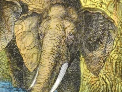 Liberty Puzzles Elephant Pool* Puzzles