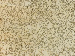Liberty Puzzles Fudo Falls, Oji* Puzzles