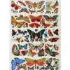 Liberty Puzzles Histoire Naturelle* Puzzles