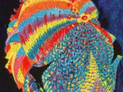 Liberty Puzzles Joseph Katz and His Coat of Many Colors* Puzzles