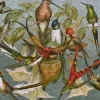Liberty Puzzles Kolibris* Puzzles