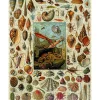 Liberty Puzzles Varieties of Molluscs* Puzzles